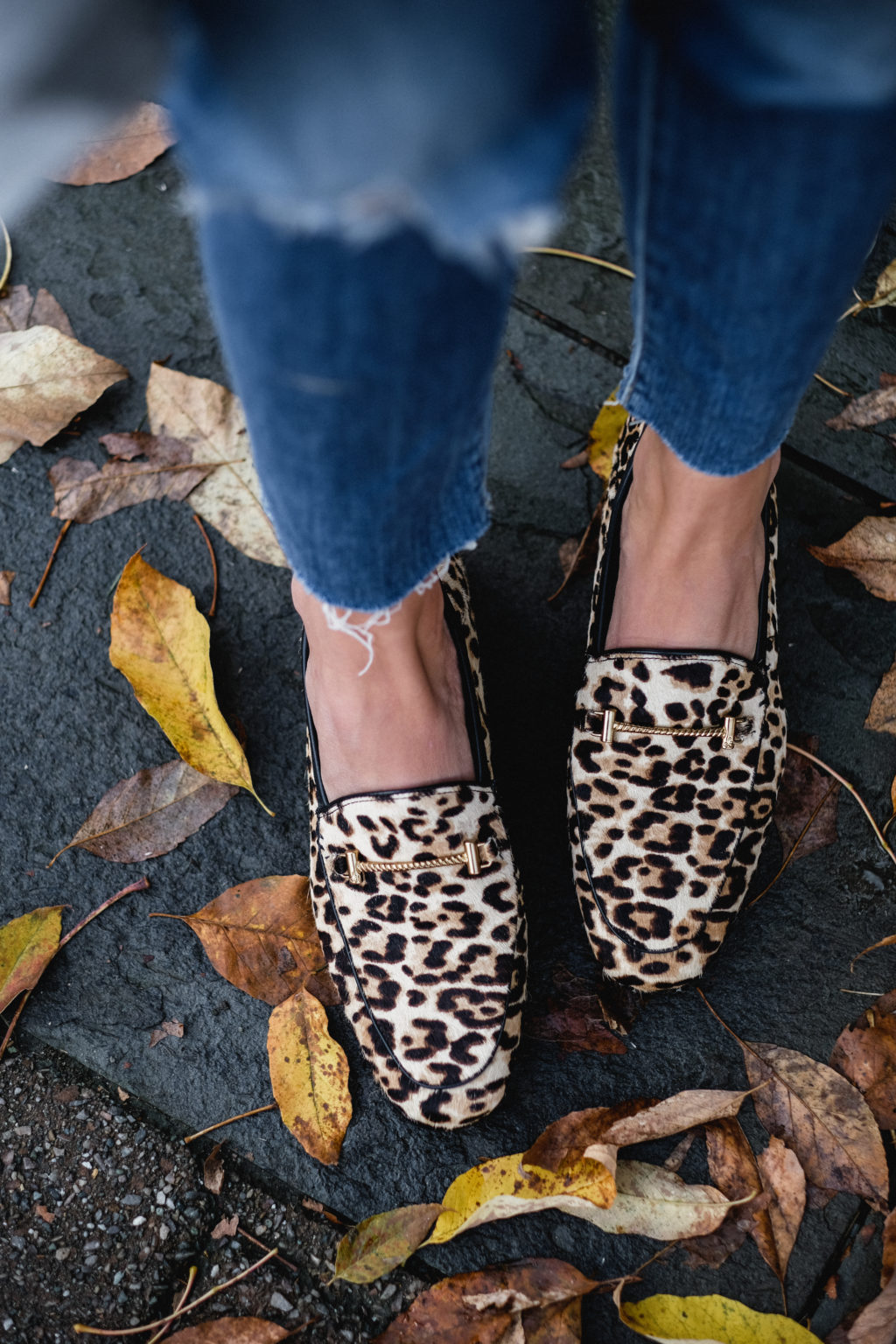 Leopard Boyfriend Jeans | The Diva: a Dallas Fashion Blog featuring Beauty & Lifestyle