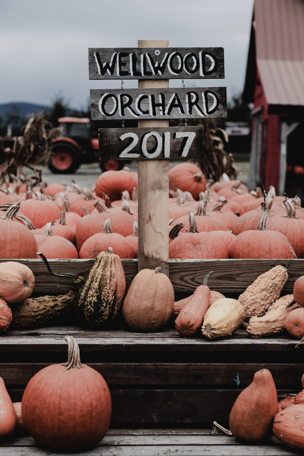 Wellwood Orchard in Vermont