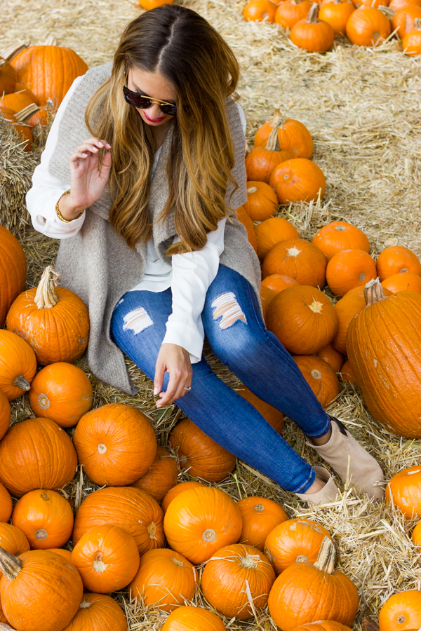 dallas pumpkin patch