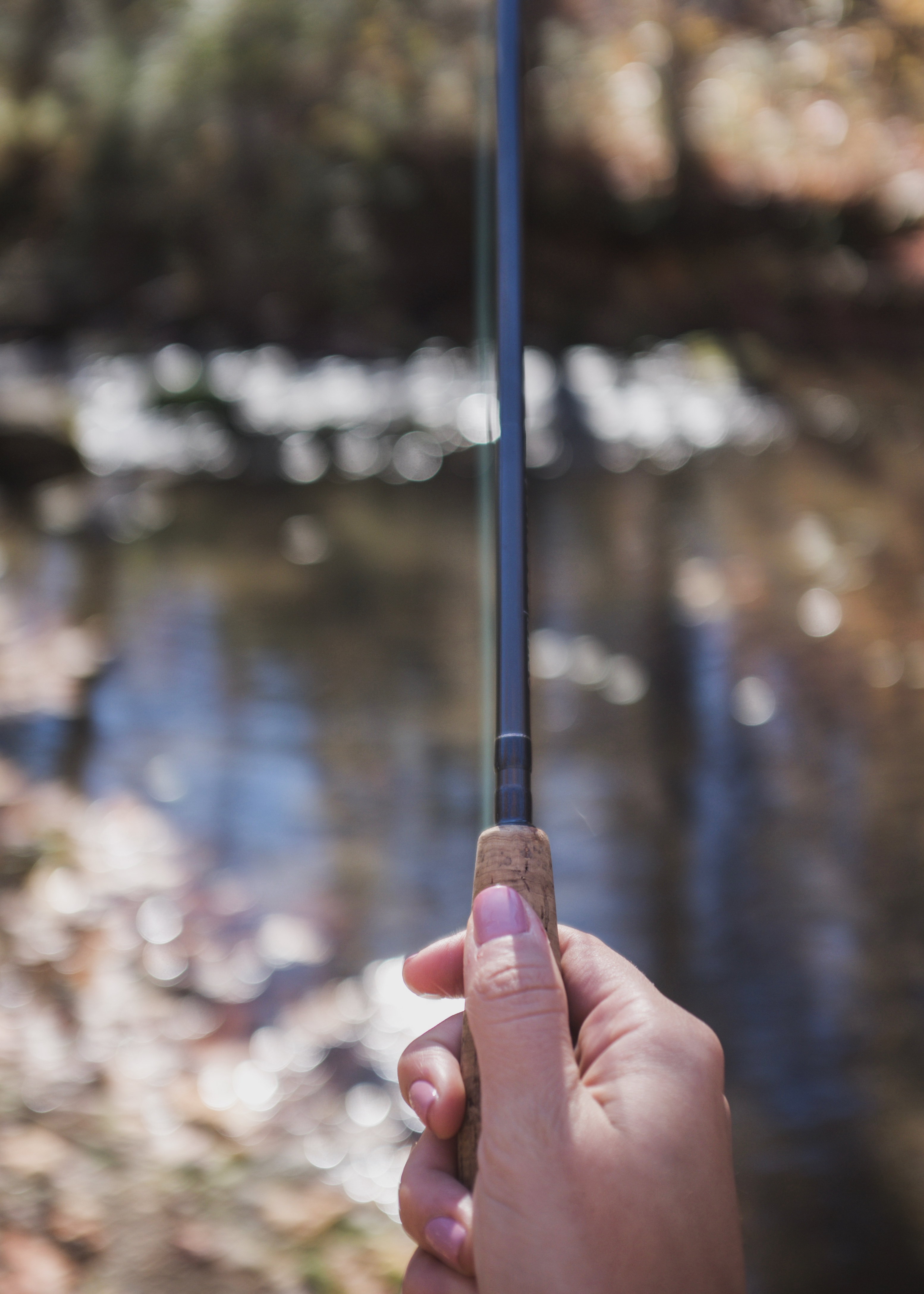 Fly Fishing in Virginia 