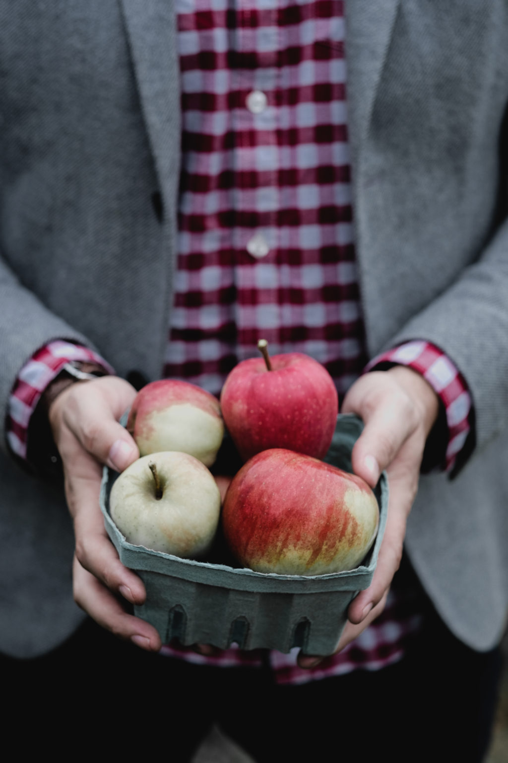 Apple Picking during Vermont Roadtrip