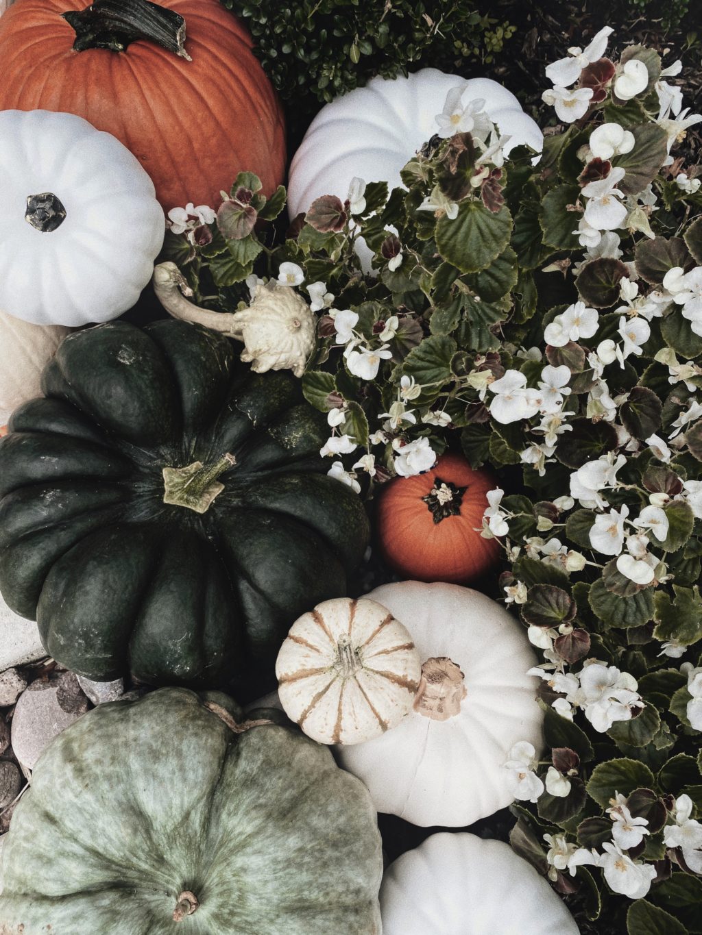 front porch fall pumpkins 