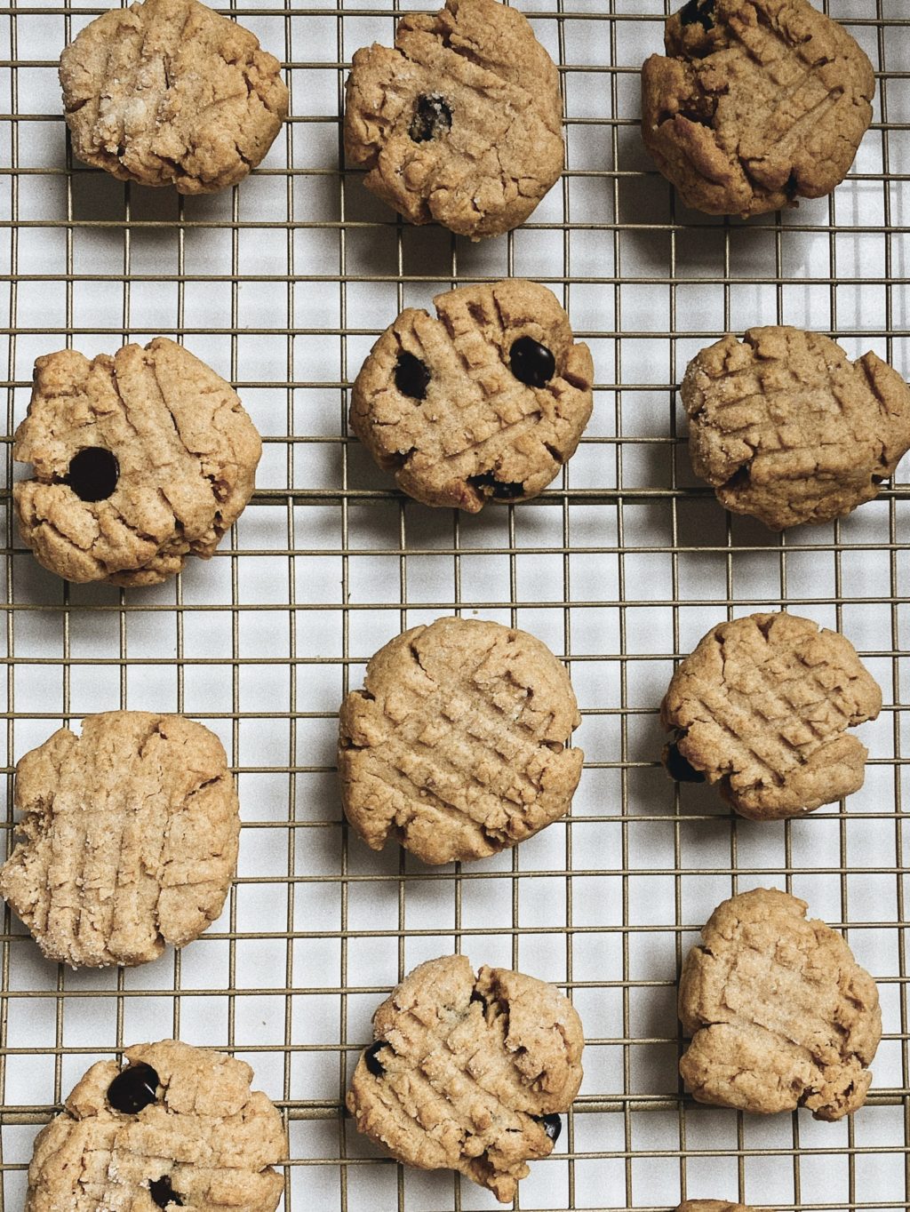 Peanut Butter and Chocolate Chip Cookies