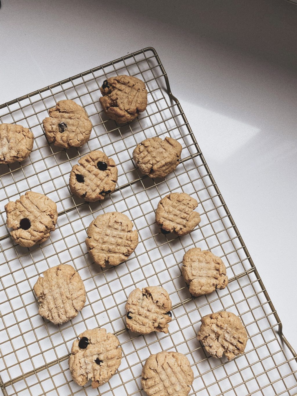 Peanut Butter and Chocolate Chip Cookies